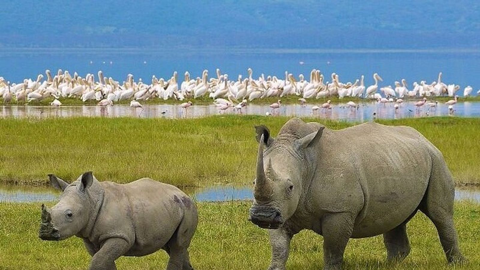 KENYA - ETHIOPIA 8N7Đ: Hành trình độc bản 2026 - Bay thẳng hàng không Ethiopian Airlines