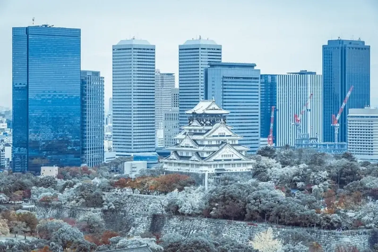 Discover Japan 2025: Tokyo - Fuji - Hakone - Image - 576