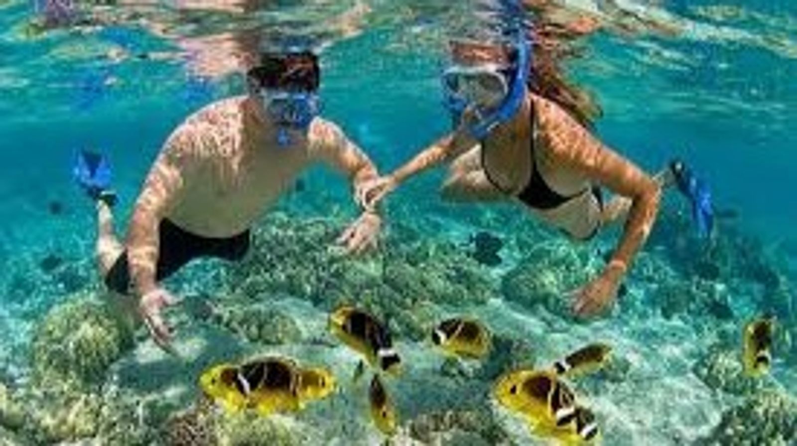 Cham Island Sightseeing & Snorkeling Tour, pick up at Danang or Hoian - Image - 19883