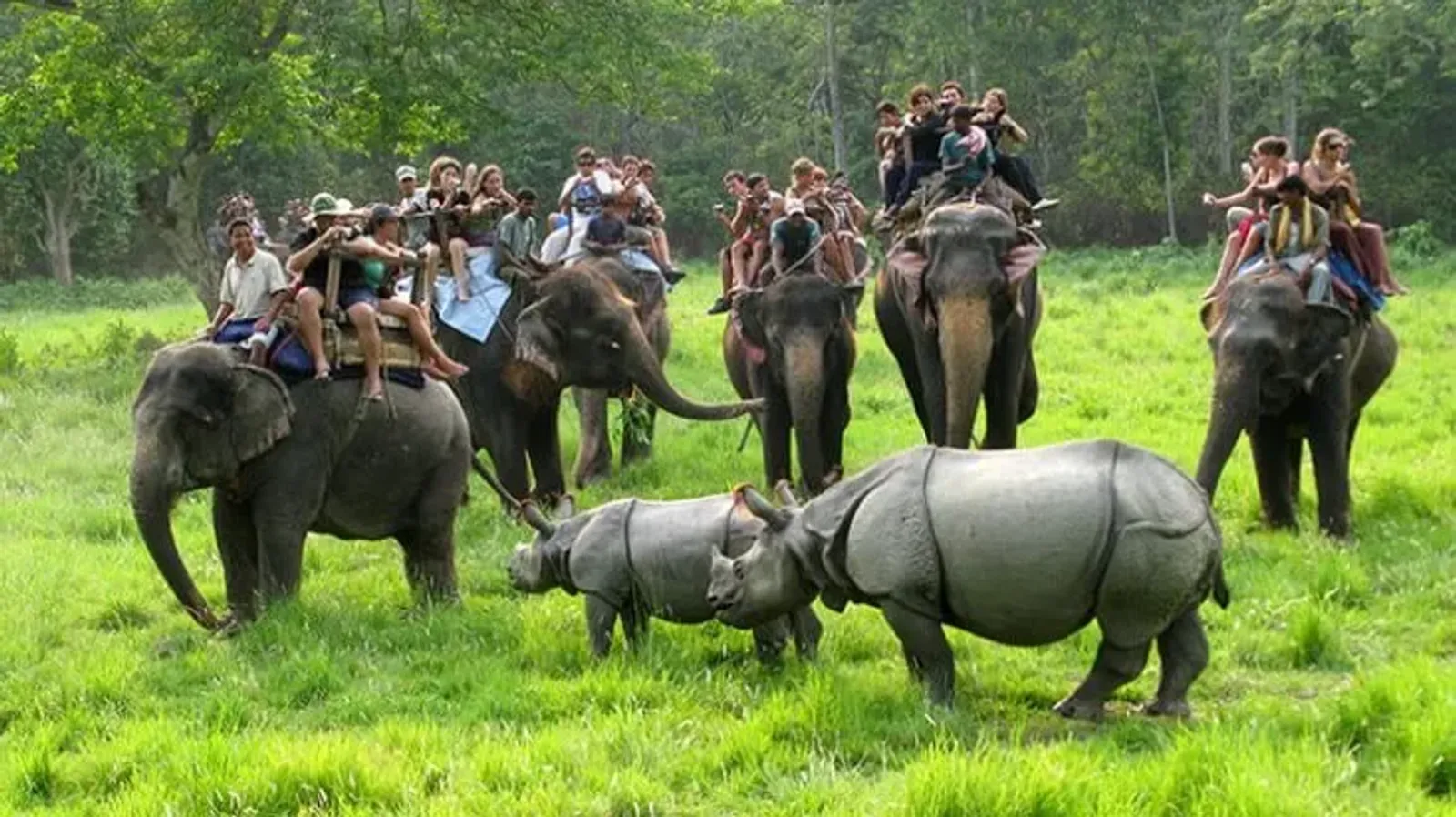 4 Day Nepal Heritage & Wildlife Tour: Pokhara to Chitwan - Image - 27880