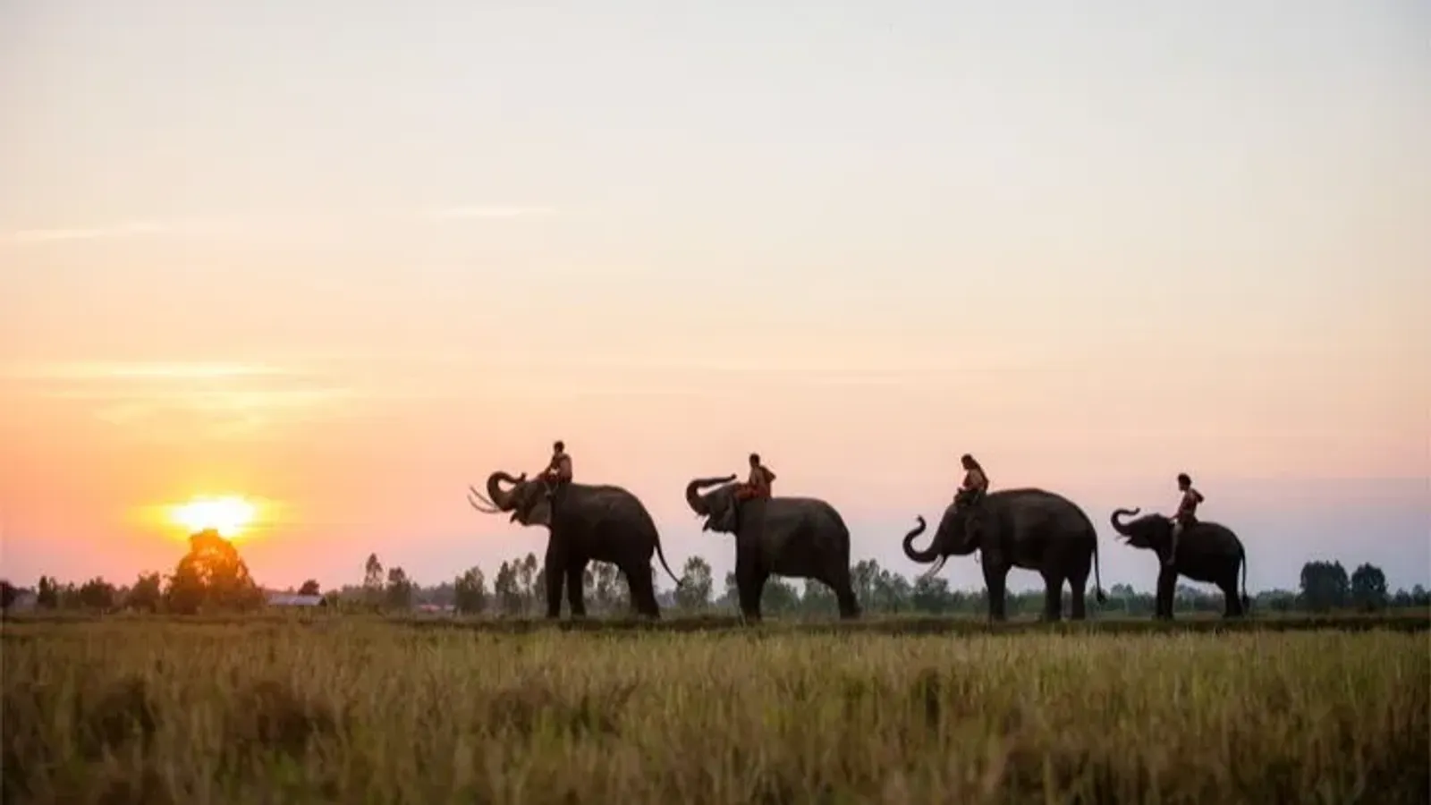 9 Days Nepal Fixed Departure Tour – Kathmandu, Pokhara, Lumbini & Chitwan