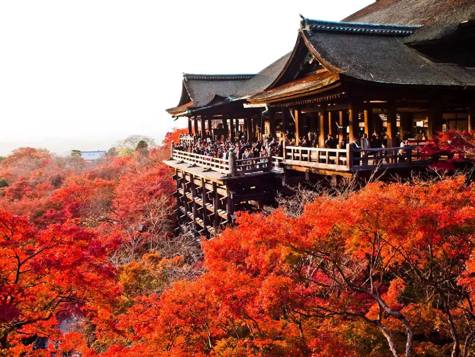 HÀ NỘI – TOKYO–  PHÚ SĨ  – KYOTO - OSAKA - Image - 3636