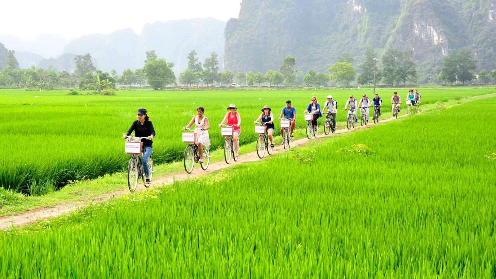 Ninh Binh: Hoa Lu - Trang An - Mua Cave - Image - 14614