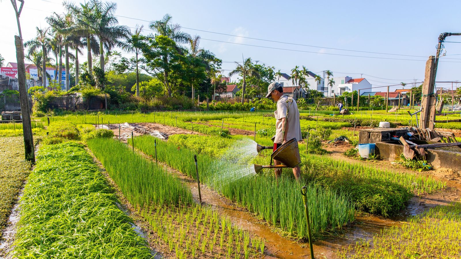SOUTHEAST ASIA 21-DAY HIGHLIGHTS TOUR - Image - 20535