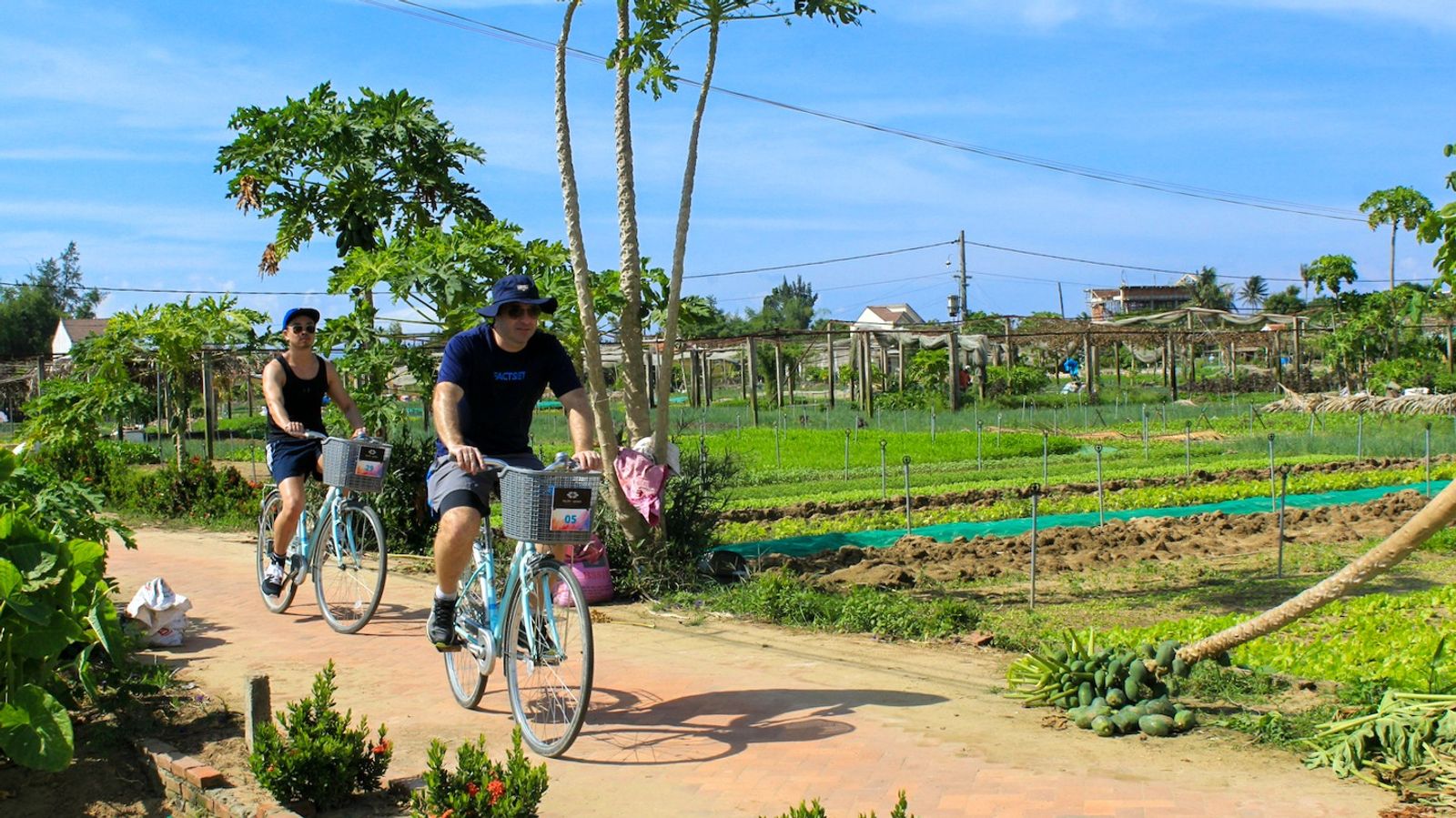 VIETNAM 10-DAY SOUTH-TO-NORTH CULTURAL ODYSSEY - Image - 20467