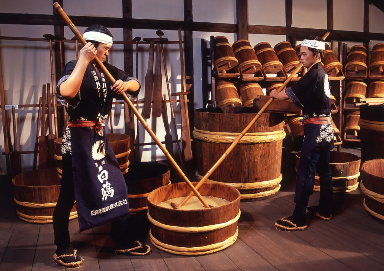 Autumn Colors of Japan: Osaka – Kobe – Kyoto – Toyohashi – Fuji – Tokyo - Image - 557