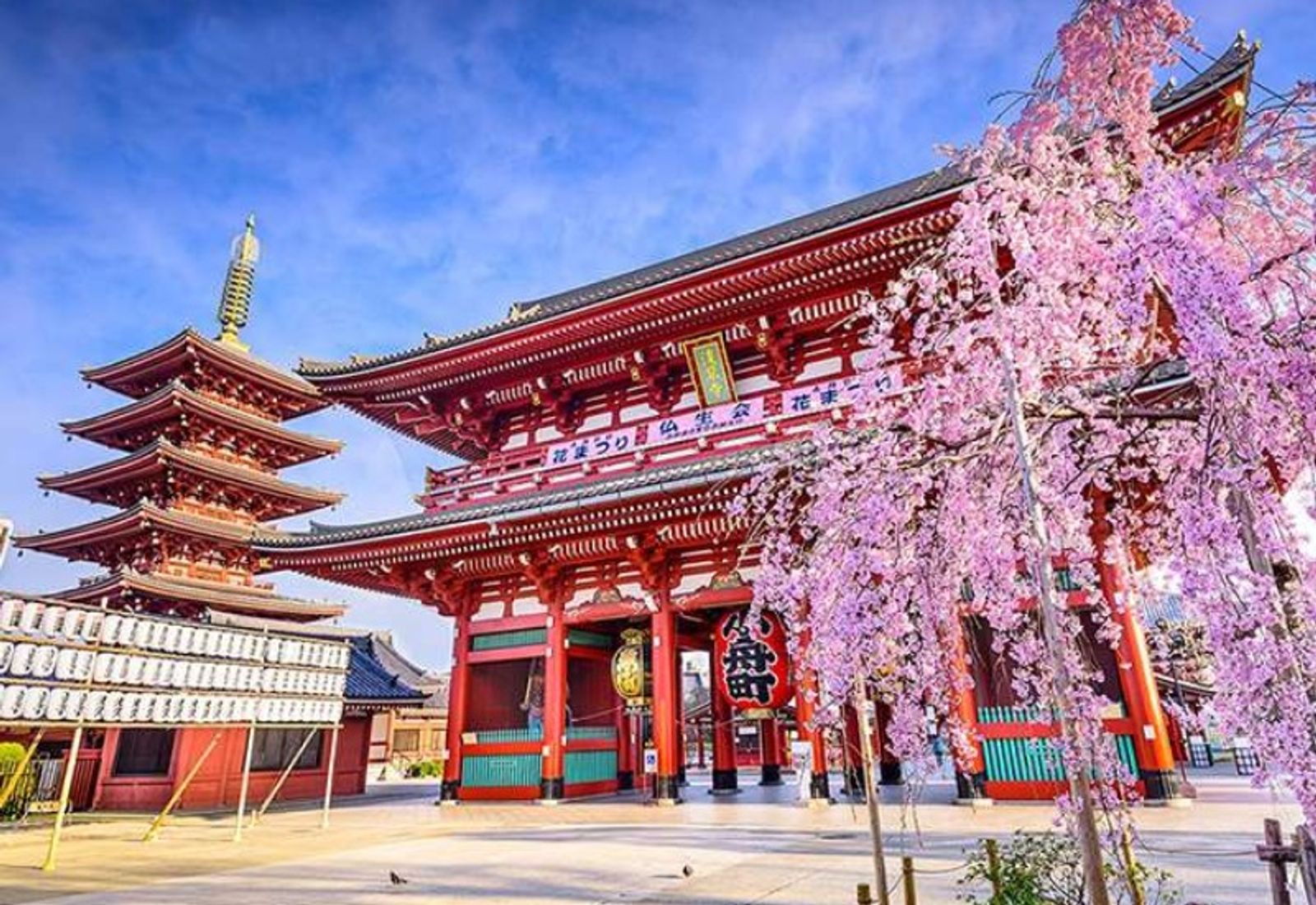Tour Nhật Bản Cung Đường Vàng 5 Ngày 5 Đêm - Vietjet Air - Image - 854