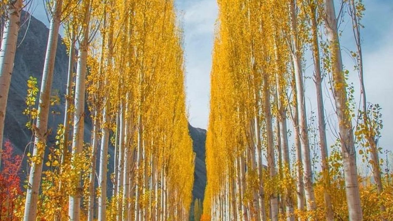 Autumn in Pakistan: Hunza-Skardu-Islamabad - Image - 18182