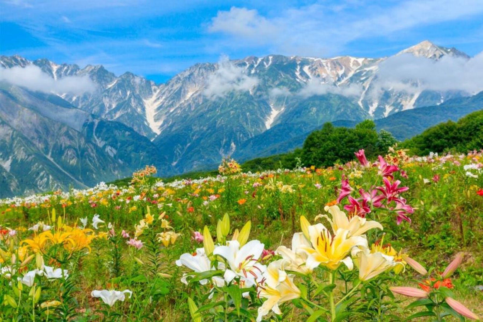 Japan Tour 2025: Nagoya - Kamikochi - Yamanashi - Fuji - Tokyo - Image - 309