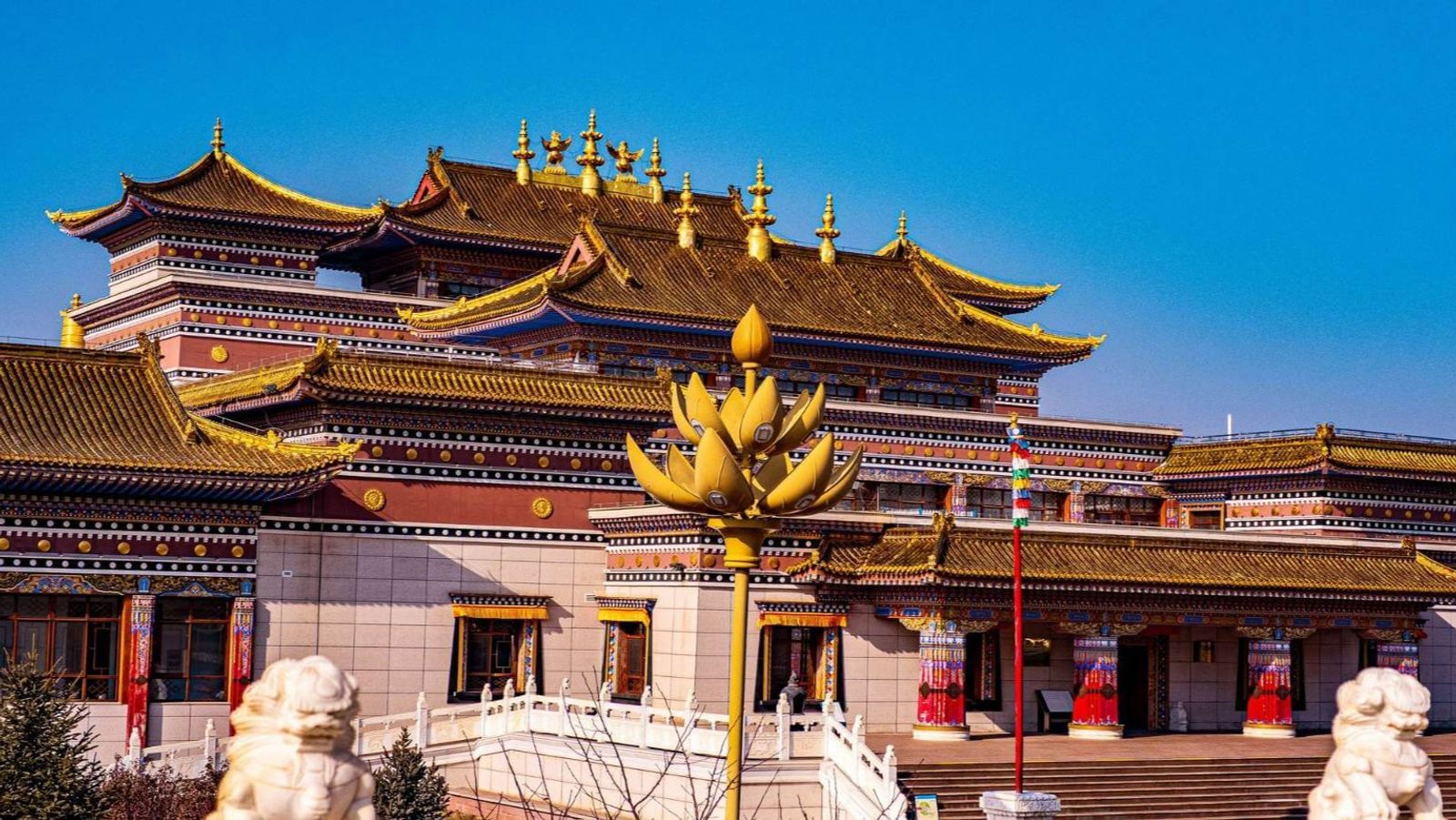 HÔ LUÂN BỐI NHĨ - NỘI MÔNG 7N7D - Image - 27741