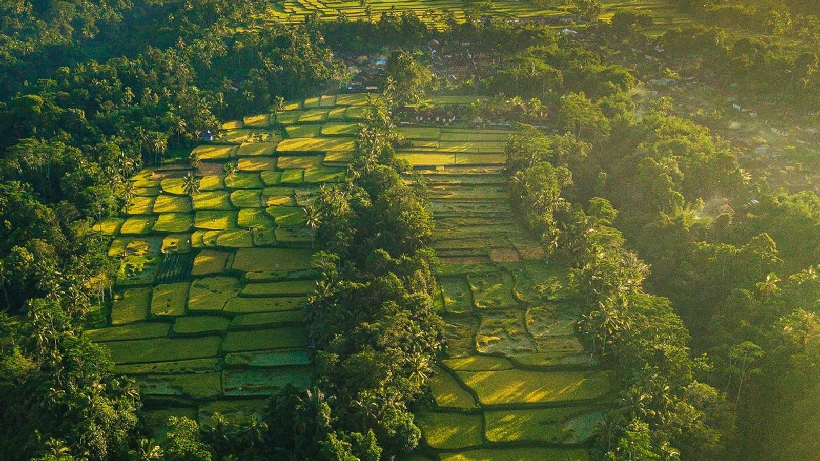 Island of the Gods – 5D4N Get To Know Culture, Temples & Nature - Image - 11458