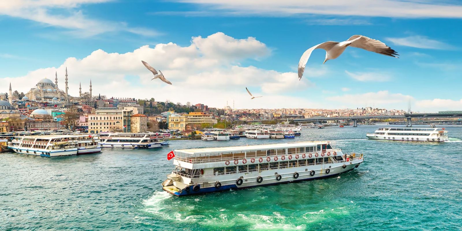 Istanbul in a Day: Sultanahmet, Balat, Bazaars and Bosphorus Cruise
