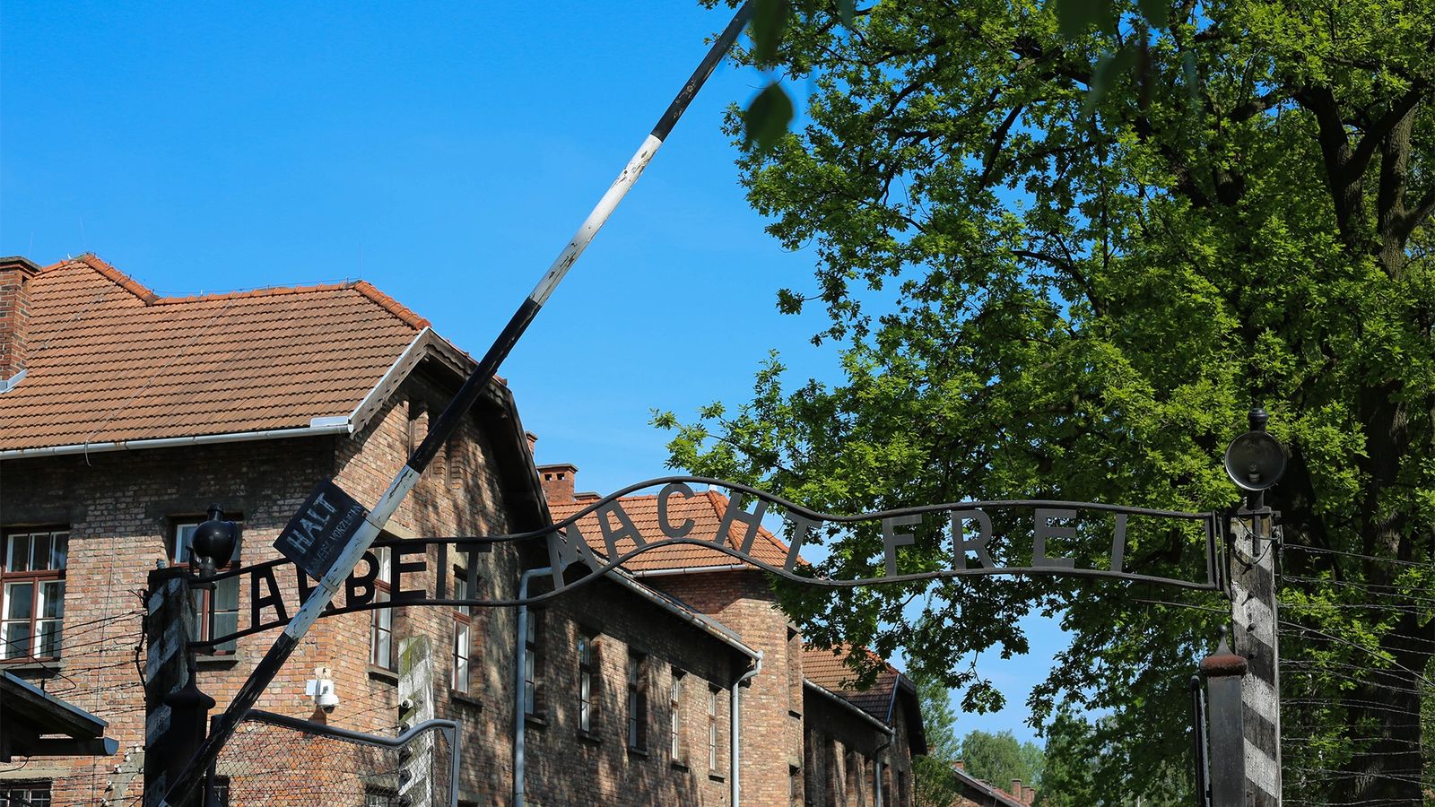 Auschwitz Birkenau Museum with hotel pick up - Image - 14539
