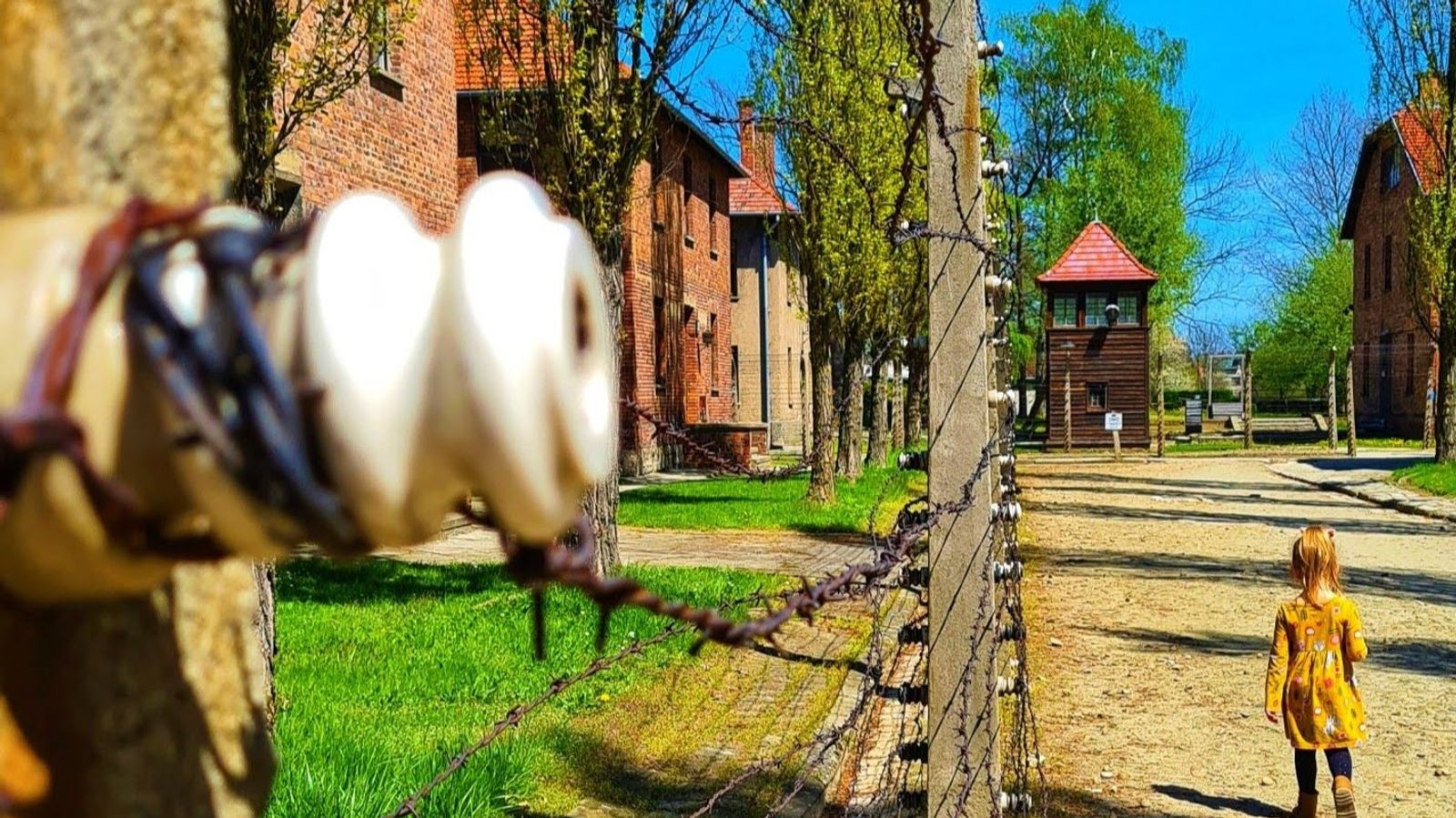 Auschwitz Birkenau Museum with hotel pick up - Image - 14529
