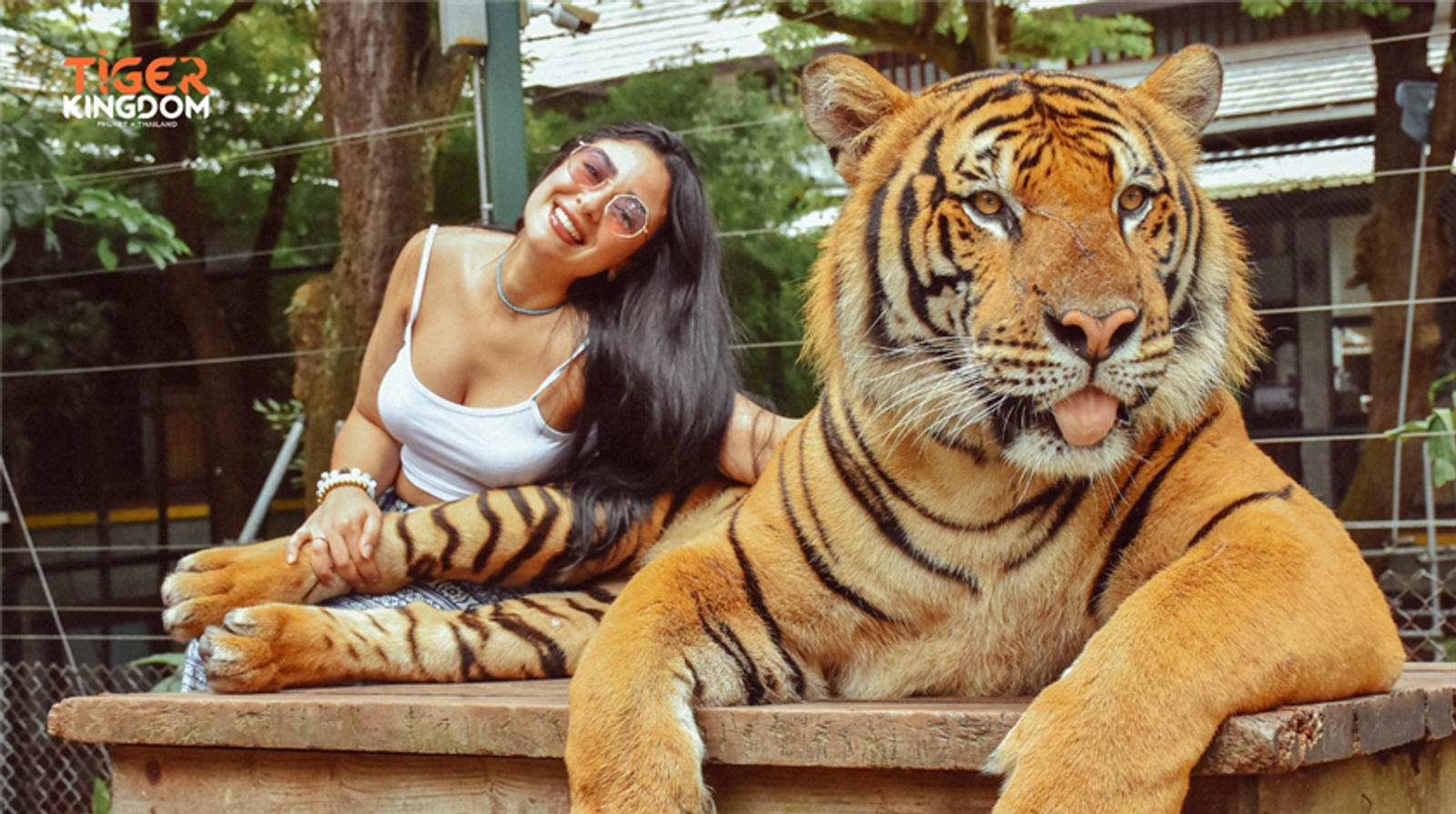  Phuket City Tour - Big Buddha and Tiger Kingdom or Tiger Park with Private Car Without Guide