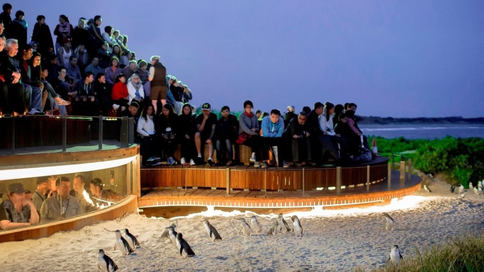 Melbourne, Australia 4D3N - Image - 11684