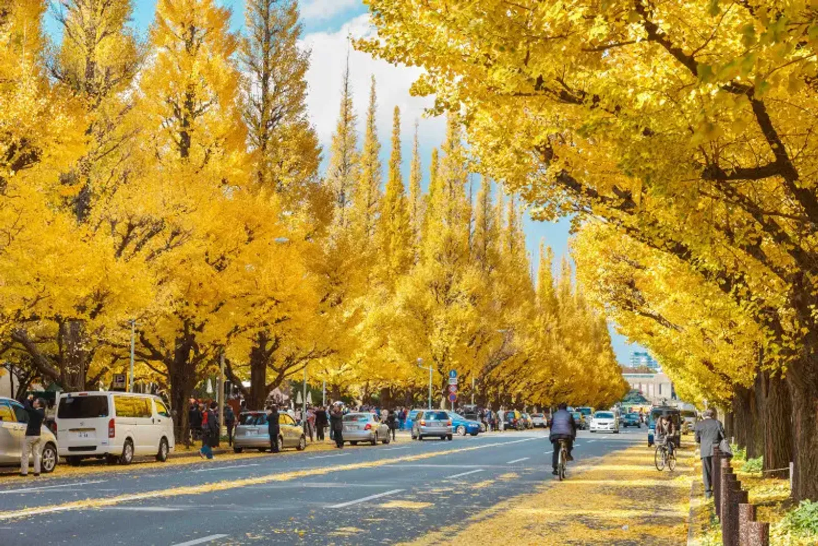 Japan's Golden Route: Tokyo - Fuji - Nagoya - Kyoto - Kobe - Osaka - Image - 573