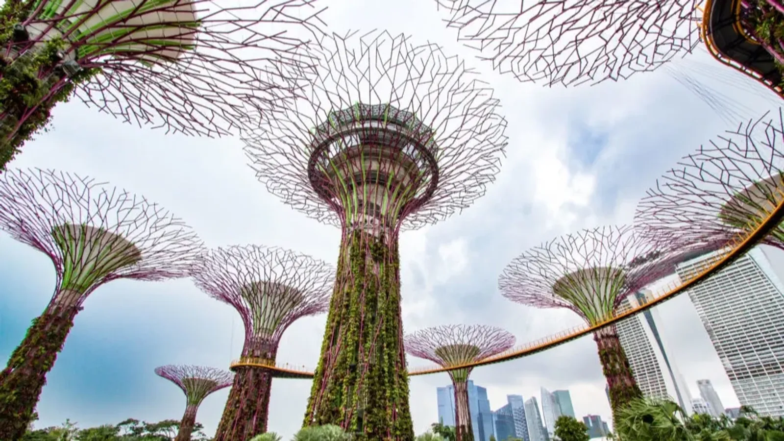Khám Phá Singapore 4N3Đ: Garden By The Bay – Sentosa – Jewel Changi - Image - 21892