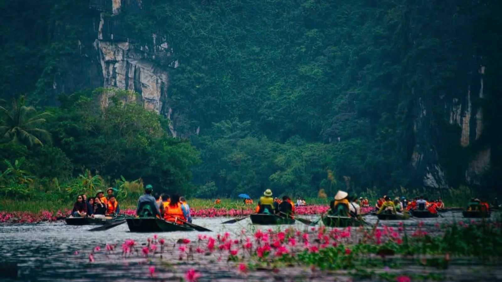 Ninh Binh discover: Bai Dinh pagoda - Trang An Eco - Mua cave - Image - 14721