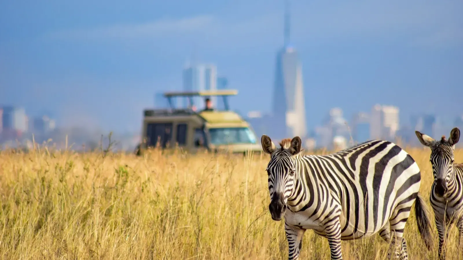 Half day Morning/afternoon tour to Nairobi National park - Image - 10755