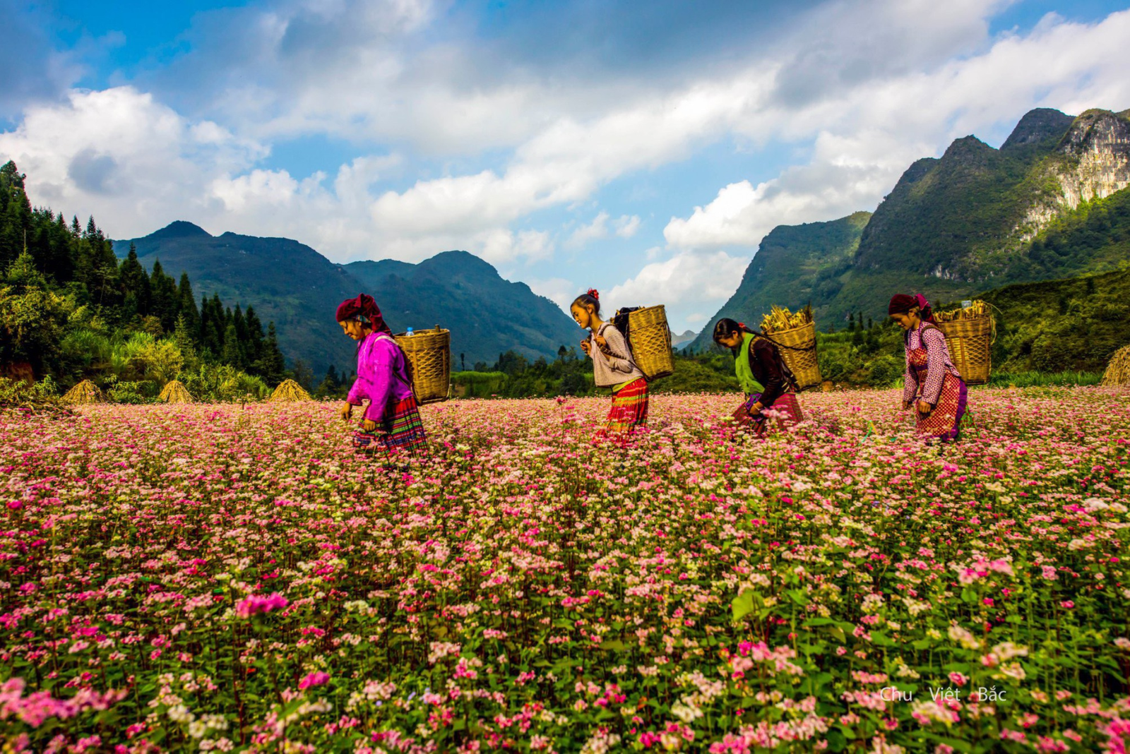 Majestic Dong Van Karst Plateau – Ha Giang Exploration - Image - 70