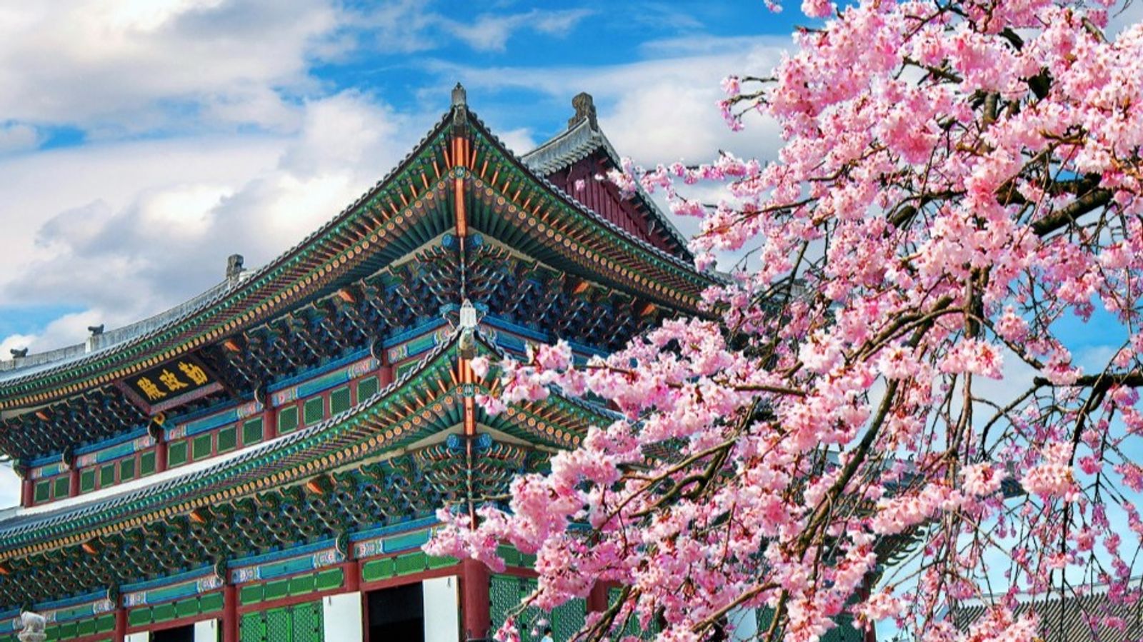 SEOUL - NAMI - EVERLAND (5N4Đ) (T) (T07-T12)