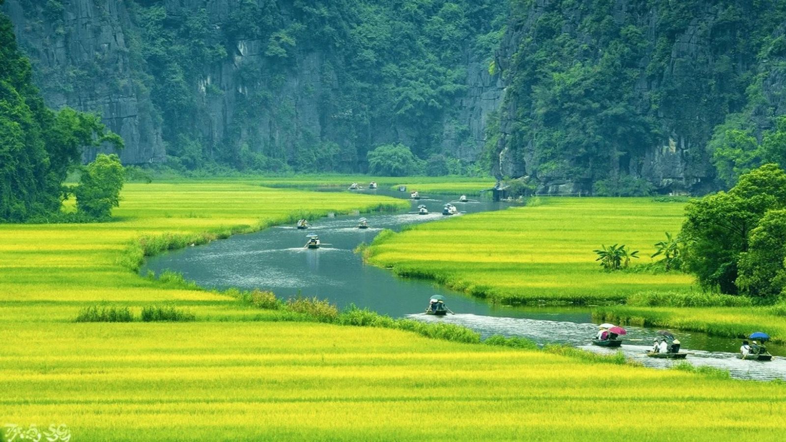 Hanoi - Ninh Binh Hoa Lu - Tam Coc one day tour - Image - 19820