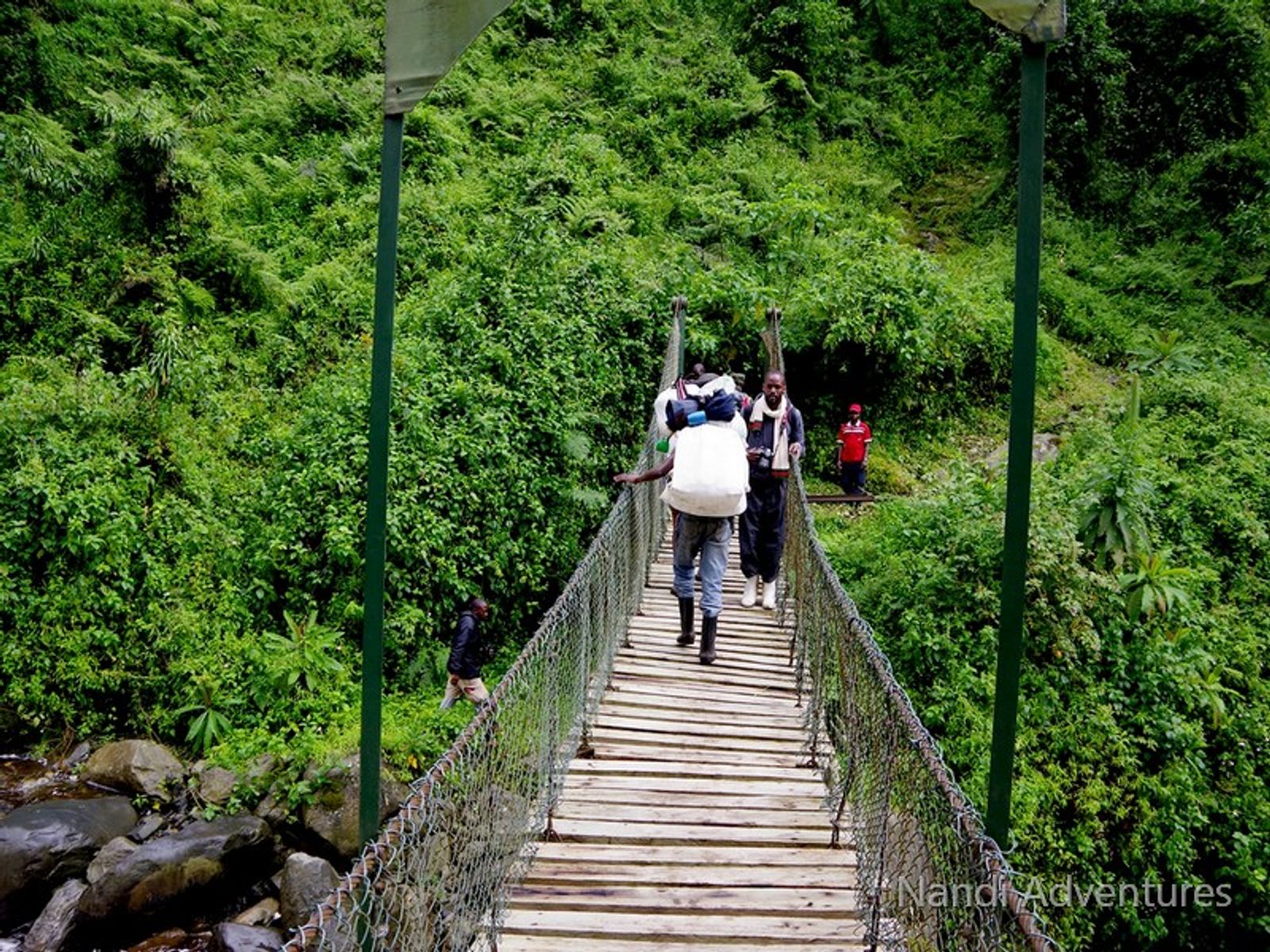 Discover Uganda on a 12-Day Journey from Tropical Glaciers to Chimps & Coffee - Image - 3668