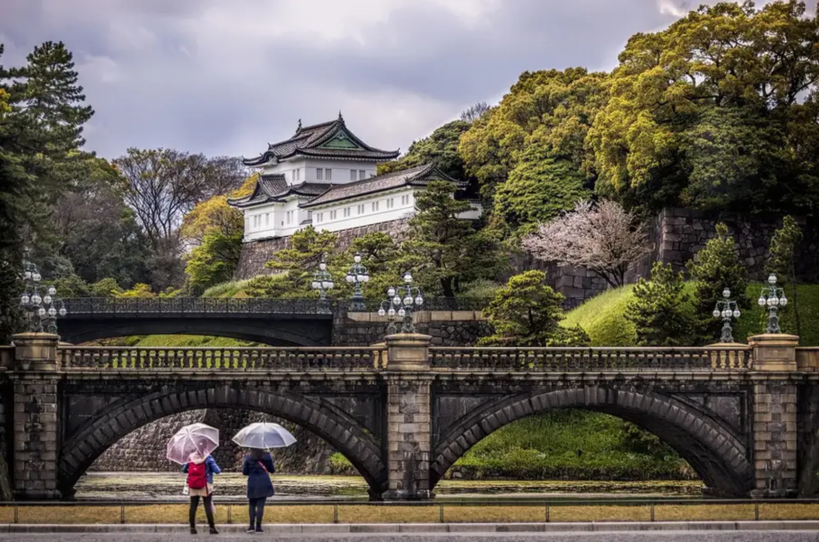 NAGOYA – SHIRAKWAGO – TAKAYAMA – FUJI – TOKYO - Image - 3557