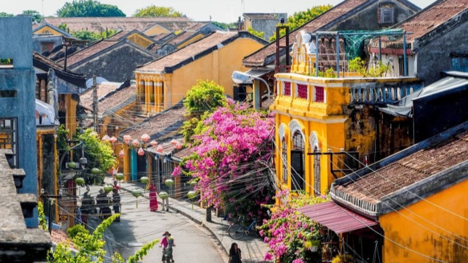 Tour Sơn Trà - Rừng Dừa 7 mẫu - Hội An - Image - 6868