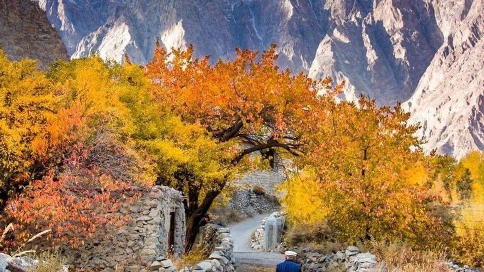 Autumn in Pakistan: Hunza-Skardu-Islamabad - Image - 18185