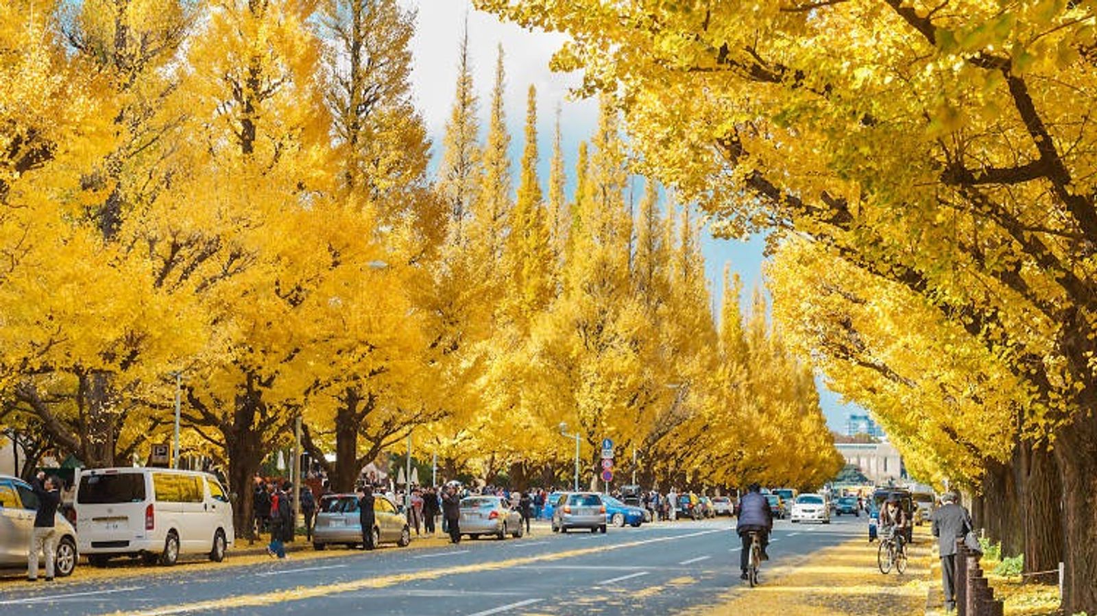MÙA THU Ở THUNG LŨNG KAMIKOCHI 7N6Đ: Hà Nội - Osaka - Kyoto - Shirakawago - Kamikochi - Núi Phú Sĩ - Tokyo - Image - 25798