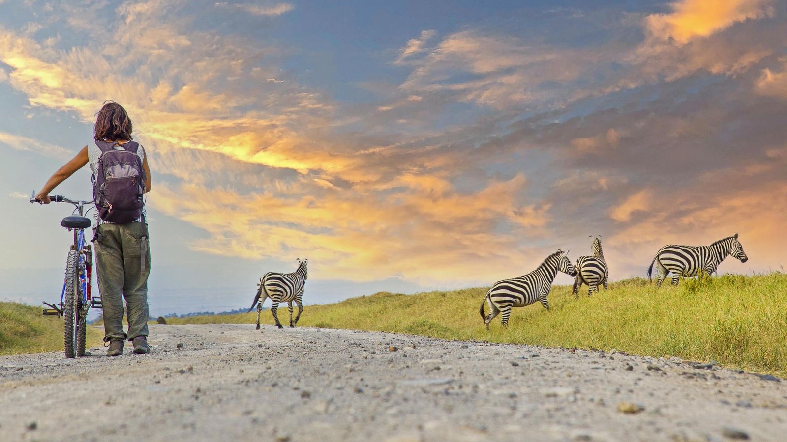 14 DAYS LUXURY BUSH TO ZANZIBAR BEACH SERENITY - Image - 9005