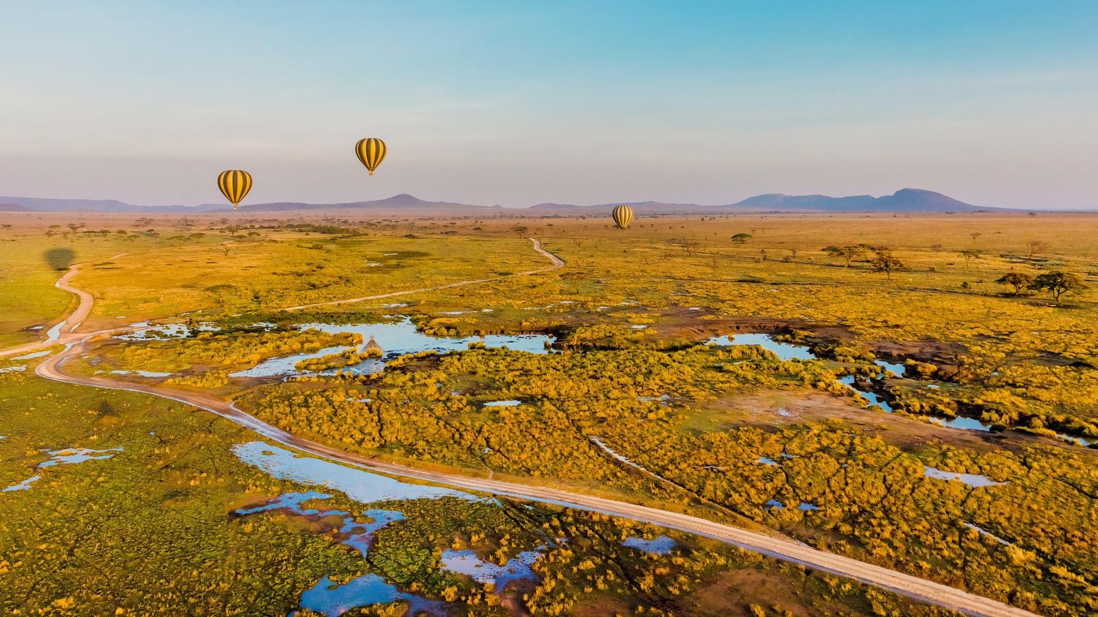 17 Days Ultimate Northern Safari and Trekking (Tanzania) - Image - 11910