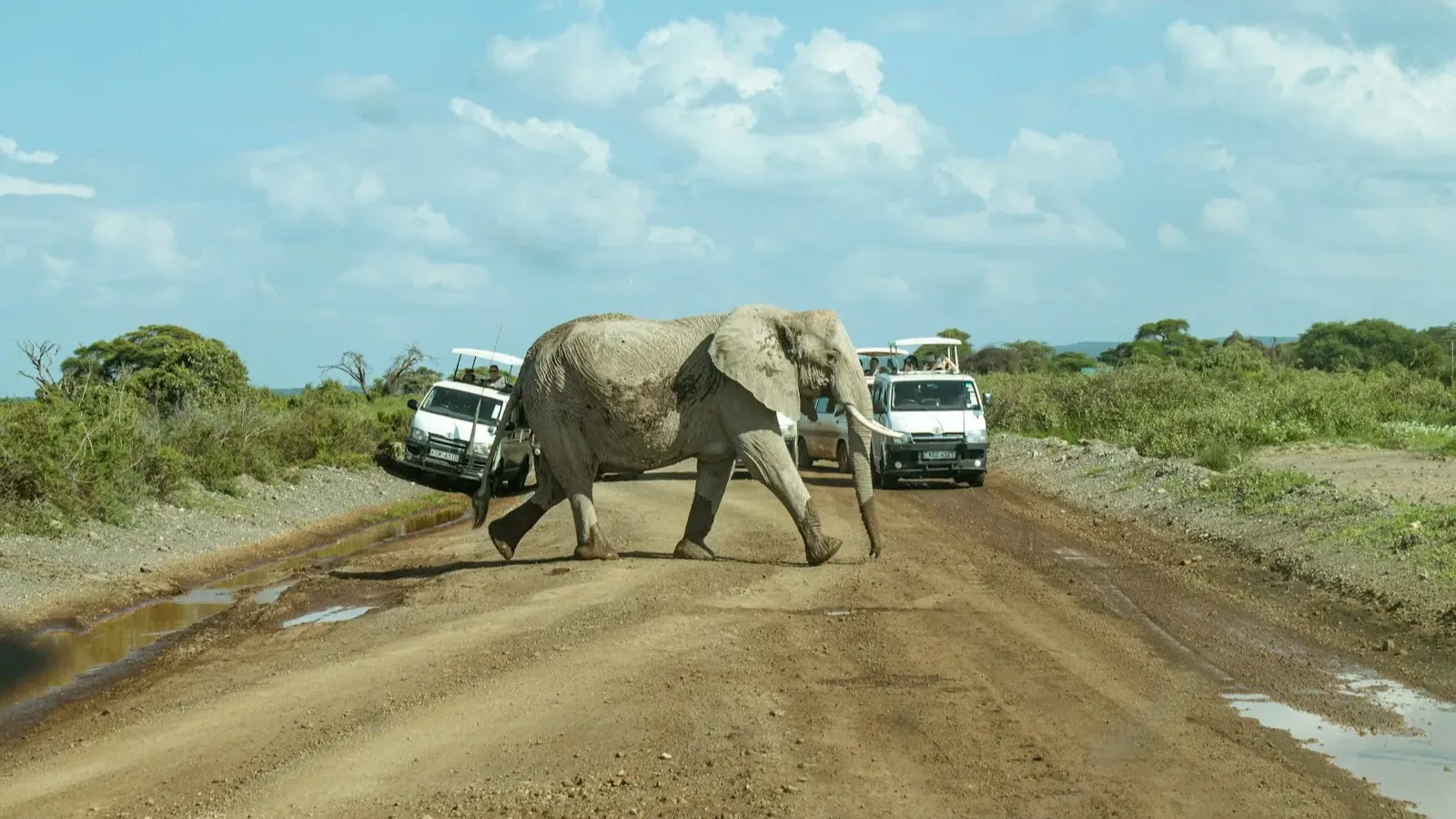 7 Days Best of Kenya safari - Image - 10747