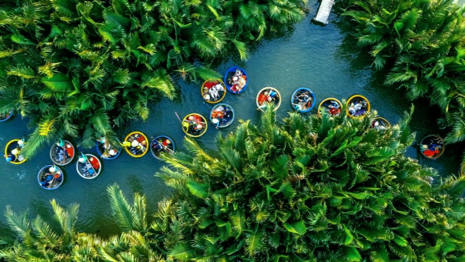 Tour khám phá rừng dừa 7 mẫu