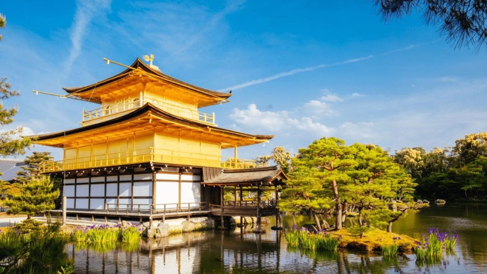 Nhật Bản: Cung Đường Vàng Osaka – Kyoto – Fuji – Tokyo. Bay Vietnam Airlines