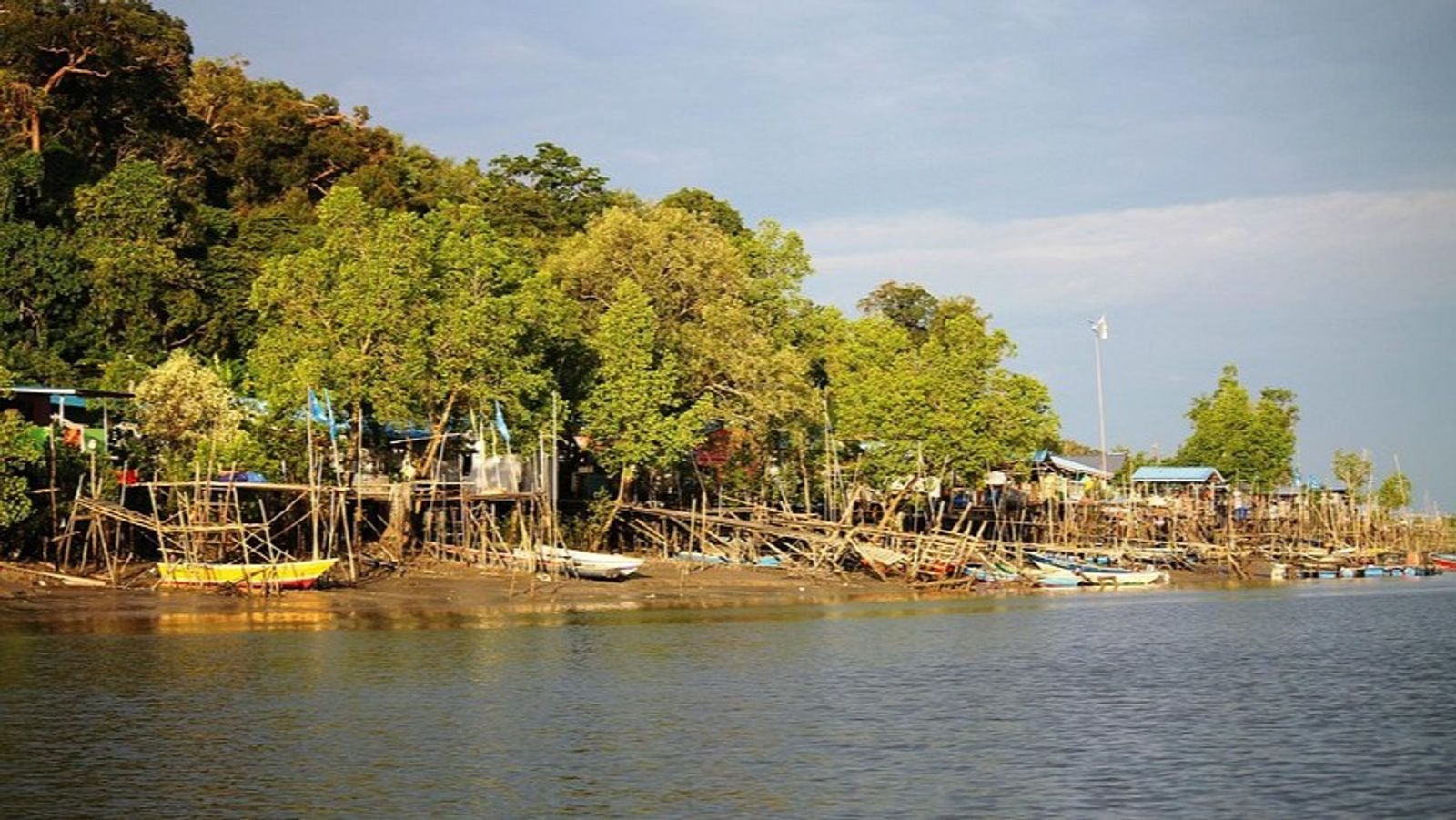 Evening Wetland National Park - Night Safari – Malaysia - Image - 11169
