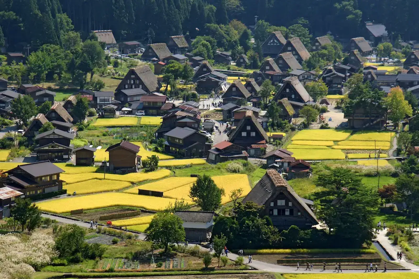 NAGOYA – SHIRAKWAGO – TAKAYAMA – FUJI – TOKYO - Image - 3560