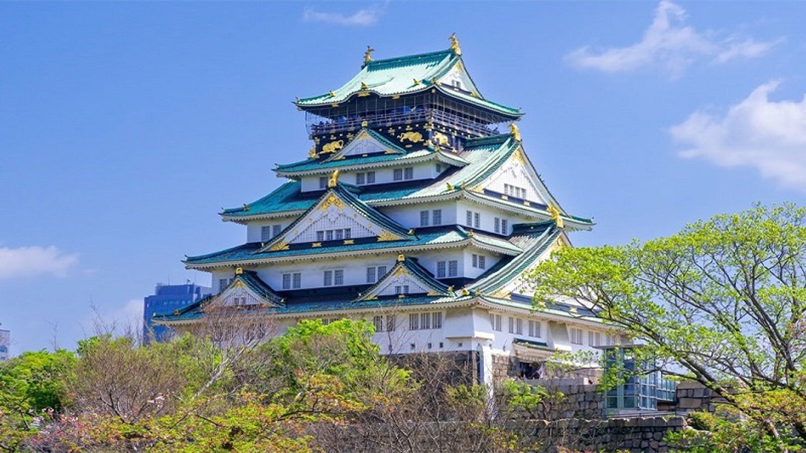 Tour Nhật Bản 6N5Đ: Từ HCM - Tokyo - Yamanashi - Kyoto - Osaka - Nagoya, Bay Vietnam Airlines + KS 3-4* - Image - 5994