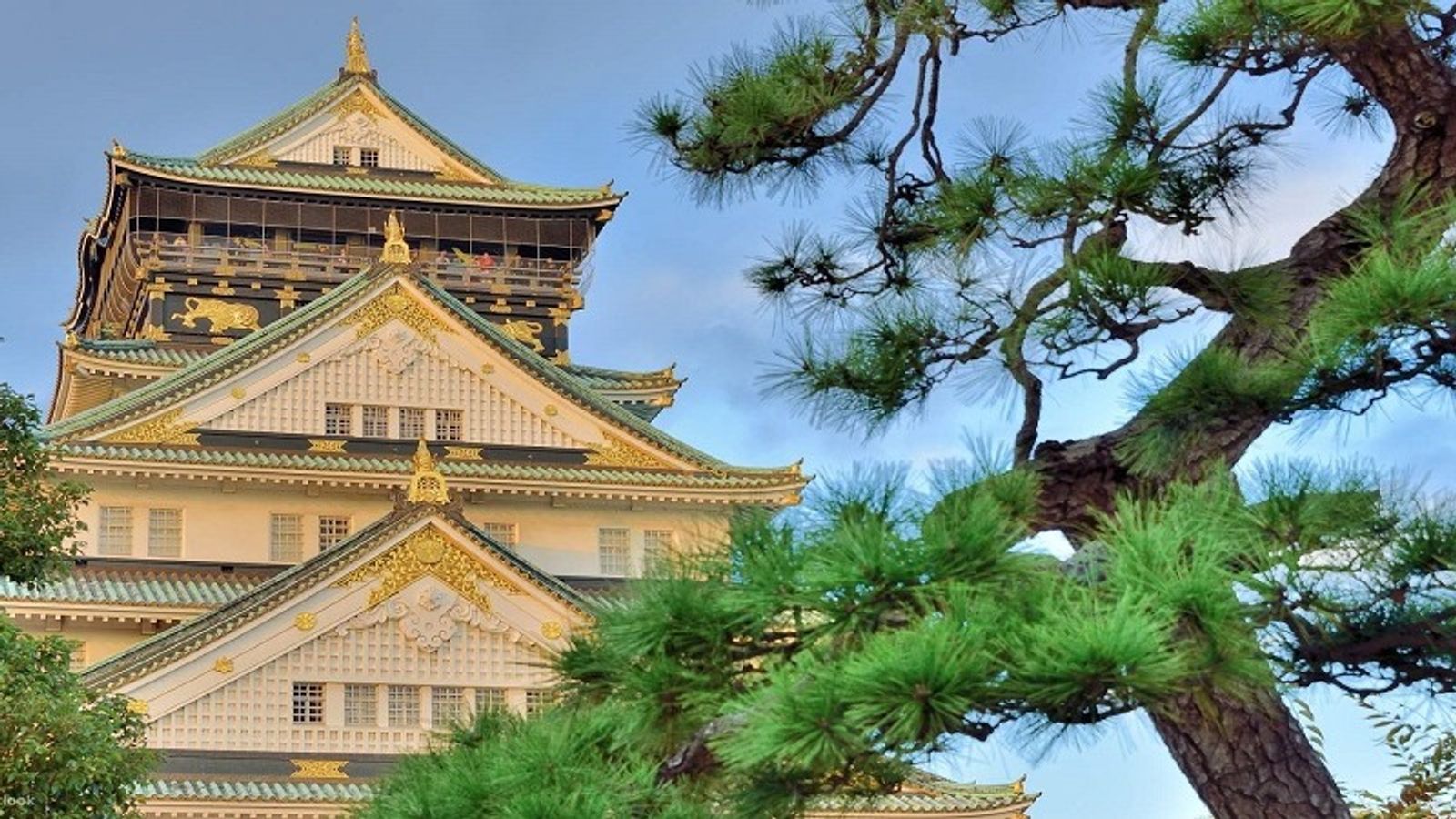 Tour Nhật Bản 6N5Đ: Từ HCM - Tokyo - Yamanashi - Kyoto - Osaka - Nagoya, Bay Vietnam Airlines + KS 3-4* - Image - 5971