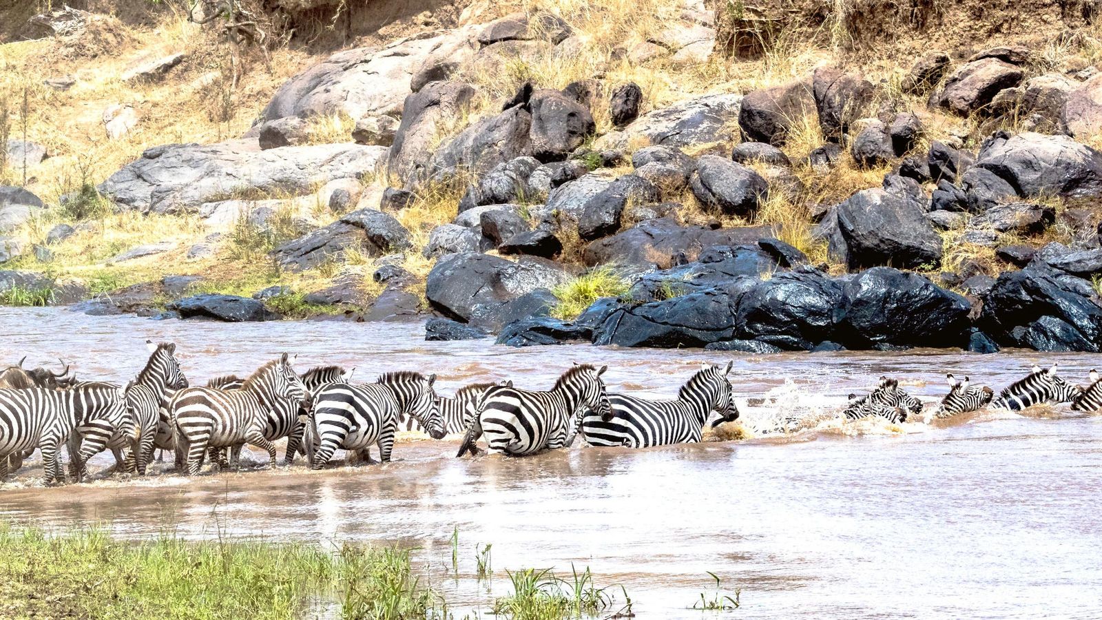 6 DAYS NAIROBI, LAKE NAIVASHA, NAKURU AND MAASAI MARA - Image - 9799