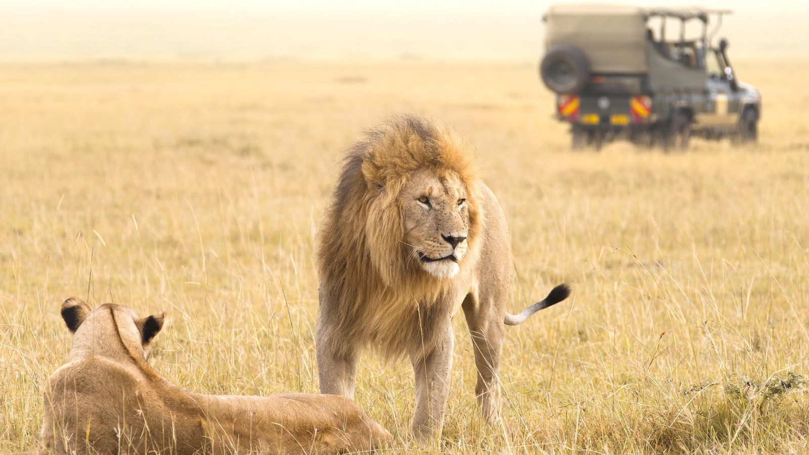 6 DAYS NAIROBI, LAKE NAIVASHA, NAKURU AND MAASAI MARA - Image - 9804