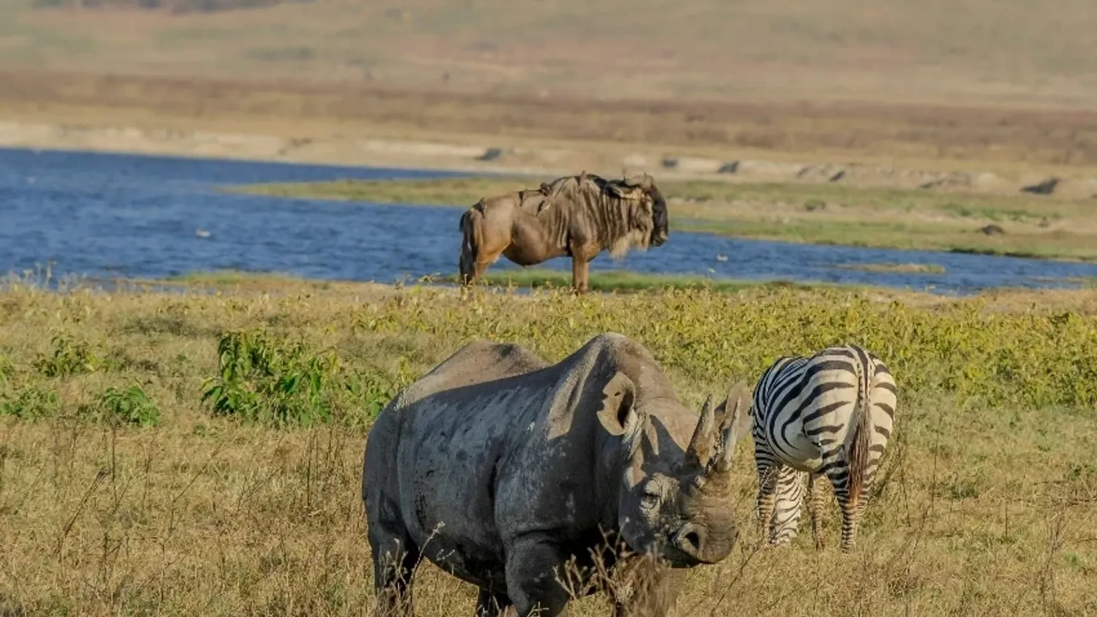 4-Day Tanzania Safari - Serengeti , Ngorongoro Crater, Tarangire - Image - 14822