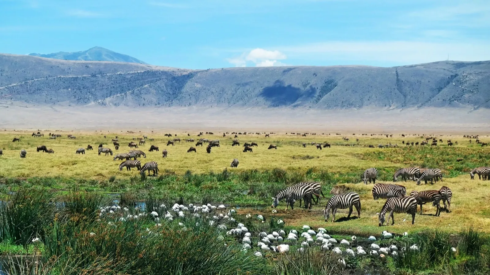 4-Day Tanzania Safari - Serengeti , Ngorongoro Crater, Tarangire - Image - 14821