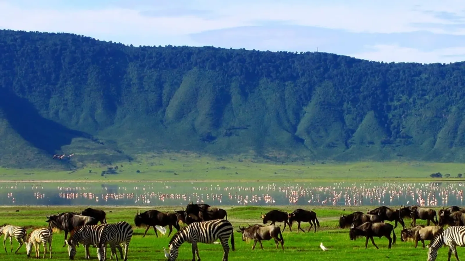 4-Day Tanzania Safari - Serengeti , Ngorongoro Crater, Tarangire - Image - 14820