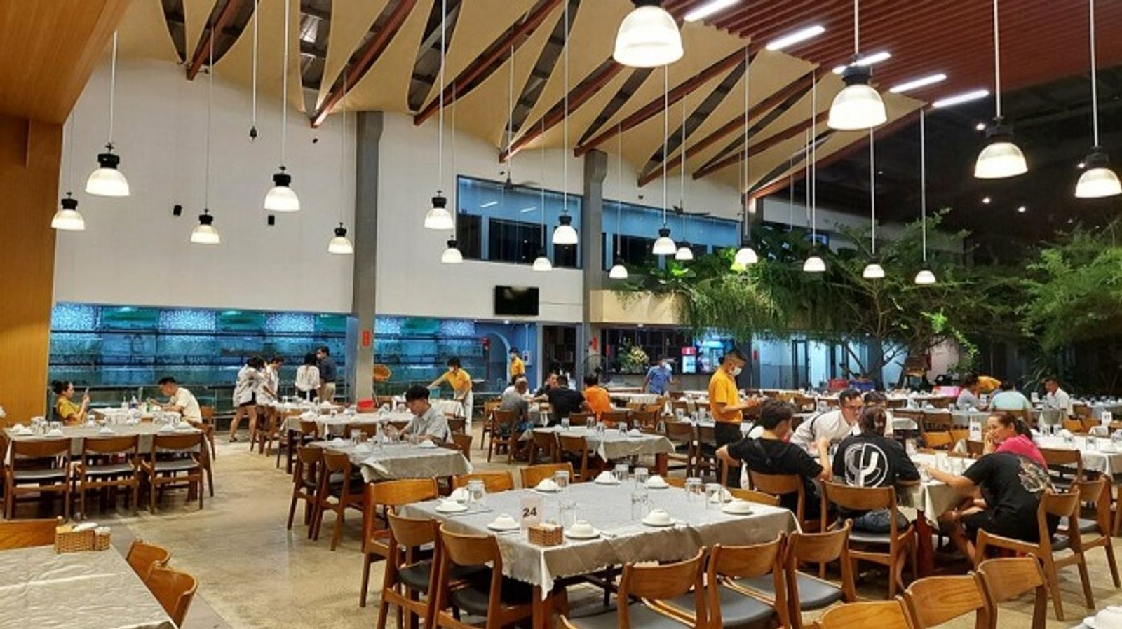 Tour Phú Quốc 3N2Đ: Từ HCM - Phú Quốc - Câu Cá - Lặn Ngắm San Hô, VMB khứ hồi + Khách sạn 3* - Image - 6189