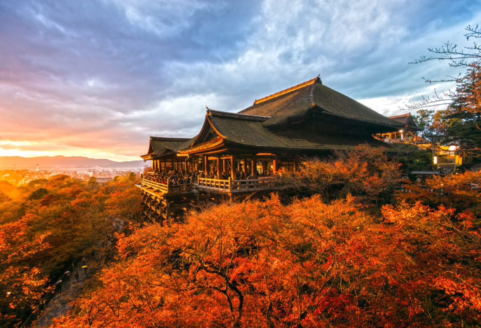 7D5N HEPI JAPAN GOLDEN ROUTE + FREE TIME TOKYO - Image - 1150
