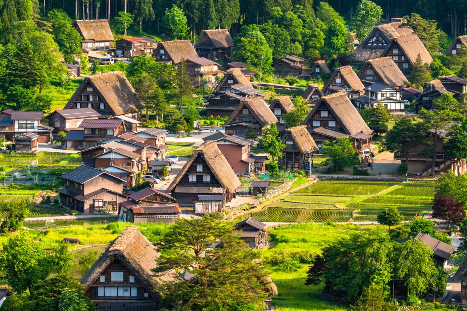 7D5N JAPAN SHIRAKAWAGO + SHINKANSEN EXPERIENCE - Image - 1159