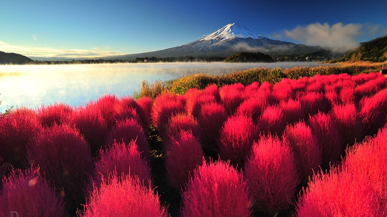 [NHẬT BẢN HÈ 6N5Đ] TP HỒ CHÍ MINH - TOKYO – FUJI – NAGOYA – KYOTO – OSAKA